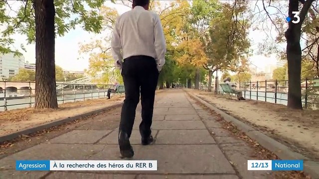 Essonne : deux hommes viennent au secours d'un adolescent agressé dans le RER