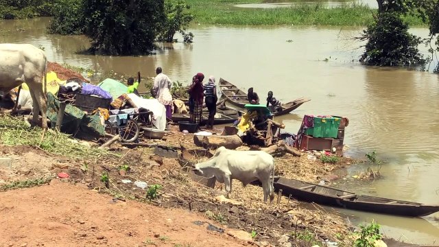 Milhares de desabrigados na Nigéria