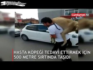 Hasta Olan Sokak Köpeğini Sırtında Veterinere Götüren Güzel Yürekli İnsan