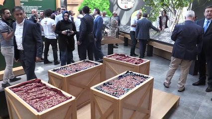 Adalet Bakanı Gül, Fıstık Müzesi'ni gezdi - GAZİANTEP
