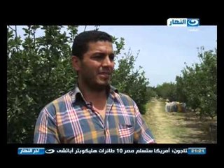 اخر النهار - المبيدات .. ازمة مزمنة يعاني منها الفلاح المصري
