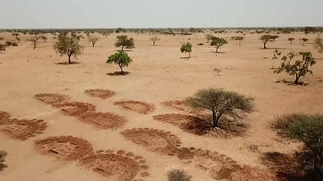 Klimawandel fördert Migration