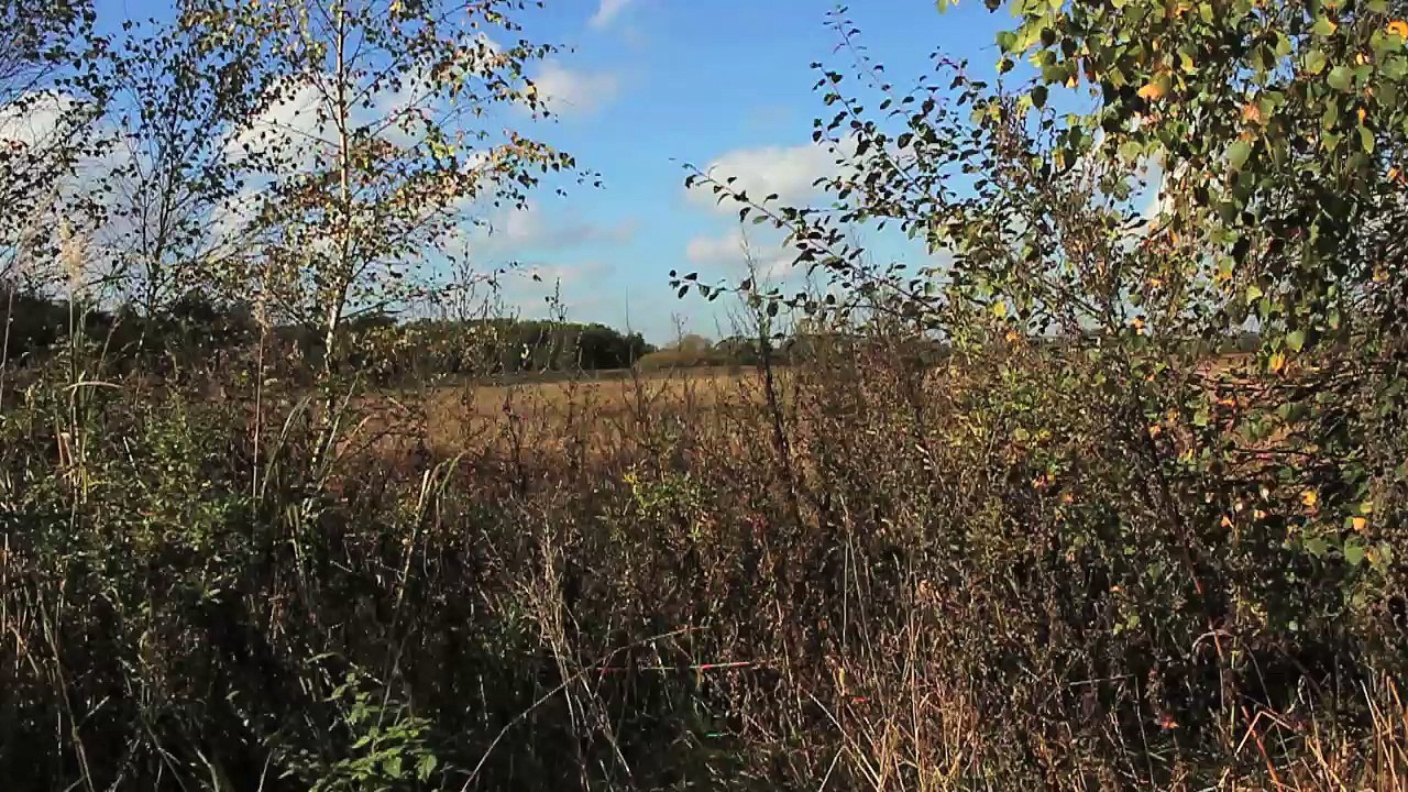 Short Break - Ausfahrt Pinneberg Nord 01 /Full Film/Complete Movie/Ganzer Film