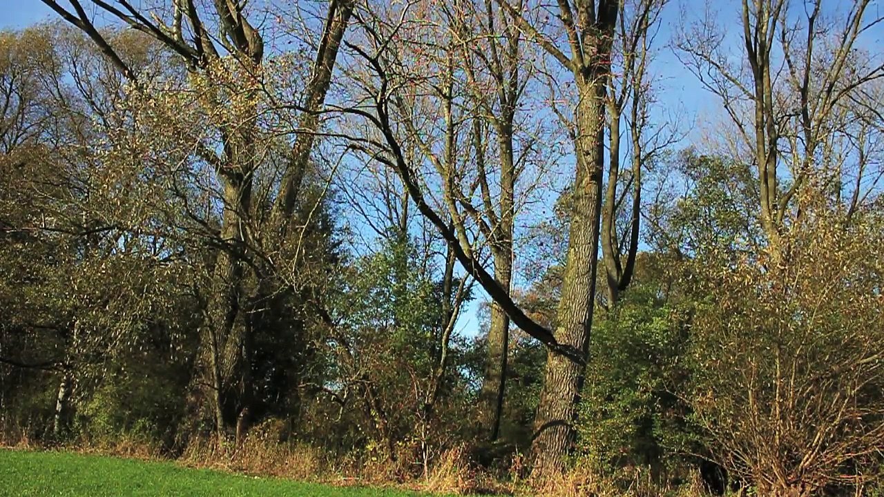 Ausfahrt Pinneberg Nord - Short Break Folge 04 /Full Film/Complete Movie/Ganzer Film