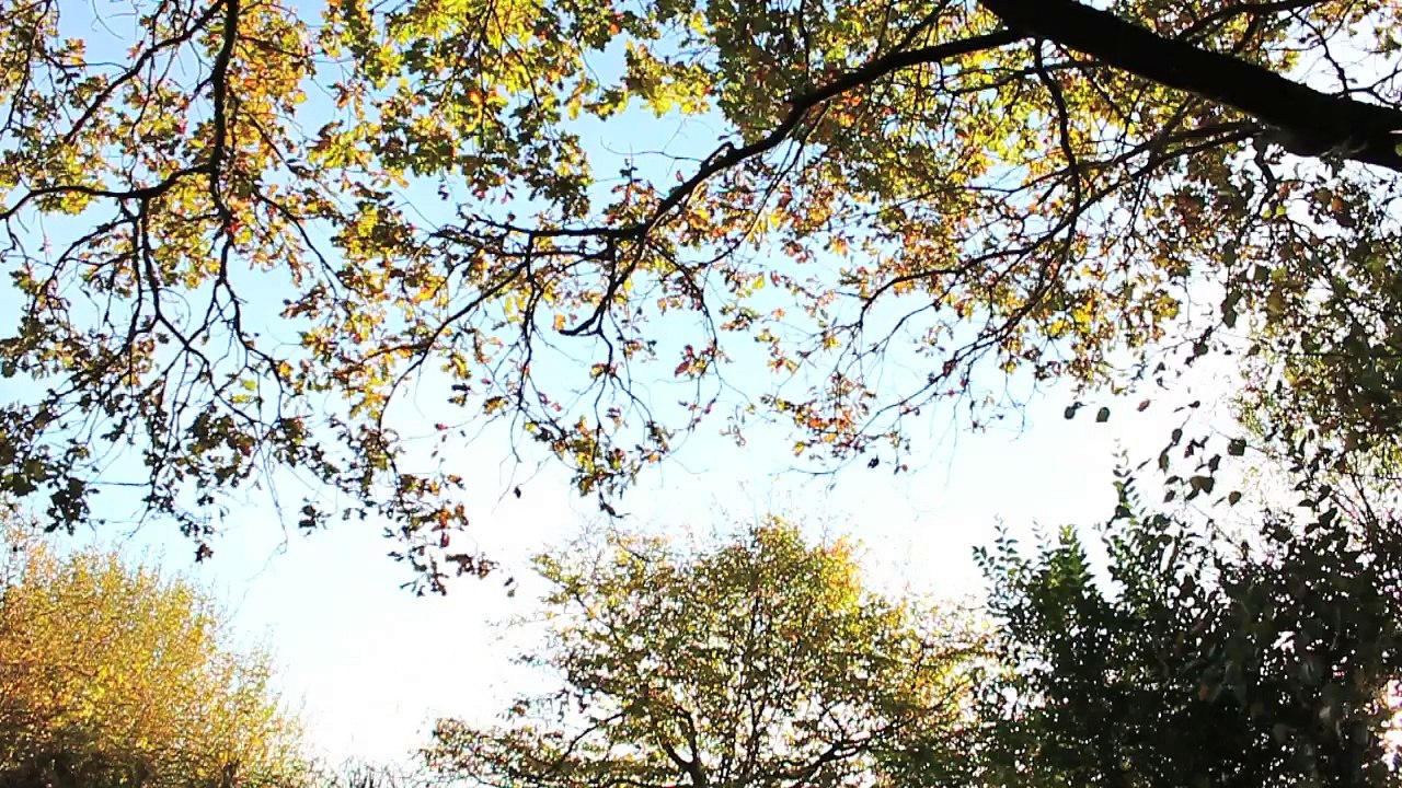 Ausfahrt Pinneberg Nord - Short Break Folge 05 /Full Film/Complete Movie/Ganzer Film