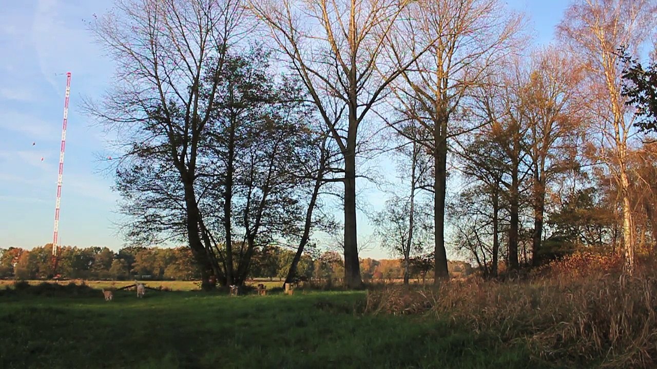 Ausfahrt Pinneberg Nord - Short Break 06 /Full Film/Complete Movie/Ganzer Film