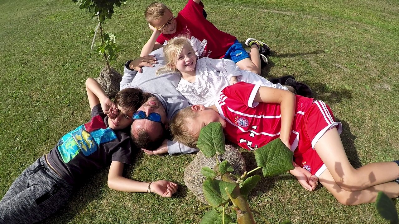 Wallonie picarde: des arbres en kit 100% gratuit à planter