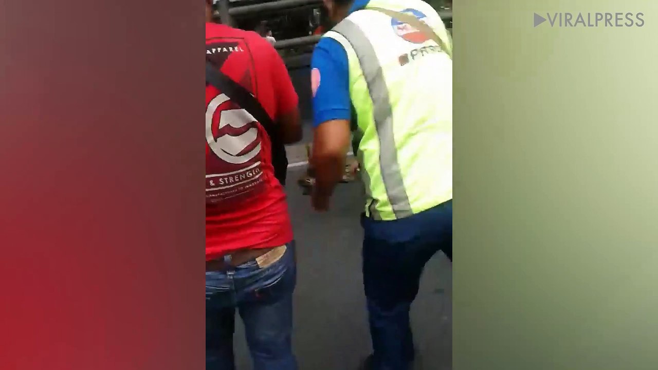 Escaped Python Sparks Panic On Road