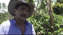 Colombia's coffee workers despair over low wage