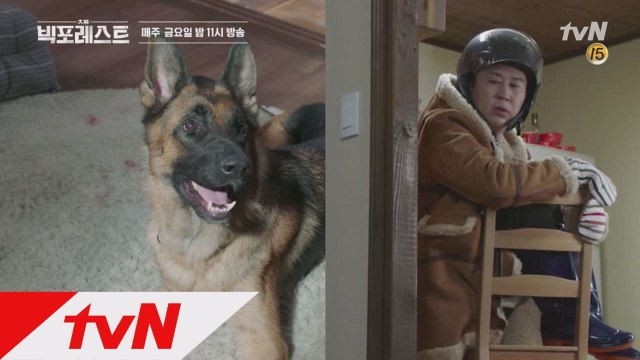 [4화 예고] 신동엽, 투견과의 은밀한 동거 시작!? (ft.특별출연 김준현)