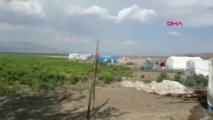 Gaziantep Yılanı Kaçırmak İçin Yaktıkları Ateş Panik Yaşattı