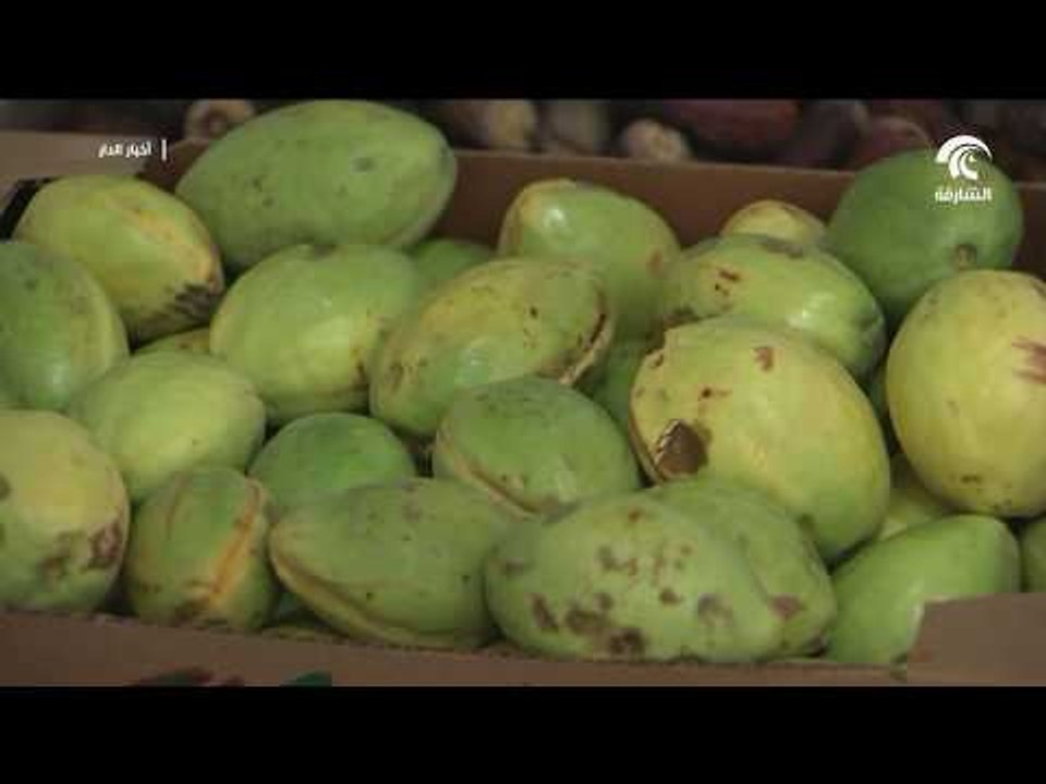 مهرجان الذيد للرطب يختتم فعالياته وسط إقبال جماهيري كبير في دورته الثالثة