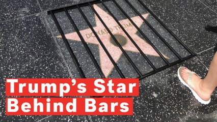 Trump's Hollywood Walk Of Fame Star Put Behind Bars