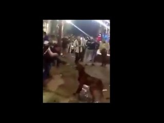 اخرالنهار|محمود سعد علي فيديو قتل كلب بالسكاكين"في كلاب كتيرهي اللي تستحق القتل بتطلع في التليفزيون"