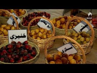 برنامج أماسي - أنواع الرطب والتمور في الإمارات