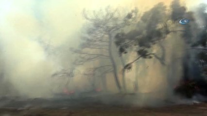 Havai Fişekli Aşık Tutuksuz Yargılanacak