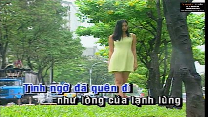 Tình Nhớ - Ngọc Lan