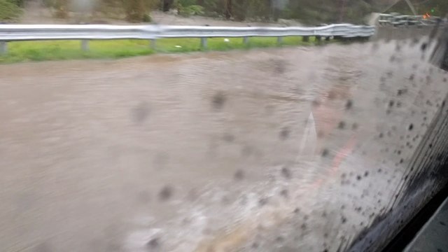Expert Driving Through Flooded Roads