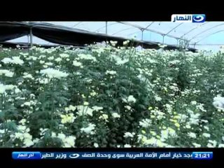 اخر النهار - عزبة الاهالي بالقناطر الخيرية  .. مملكة الزهور بمصر