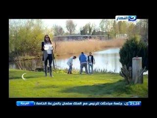 مقدمة الفرنجة عن هولندا وعلاقة عمو حمادة الهولندى بتوفيق عكاشة