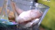 #لقمة_هنية: طريقة عمل صينية مرجان بالجمبري-  مسقعة سمك فيليه-  سهلية بالخلطة والردة- سمك موسى مقلي