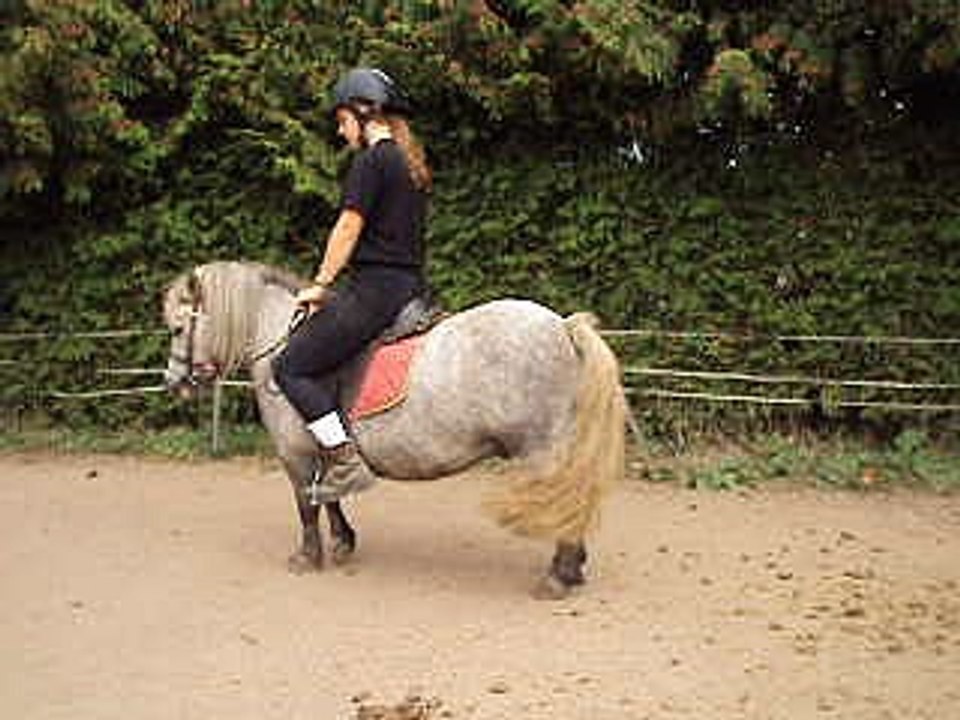 Capsule  de Bennes, hongre, vidéo 2