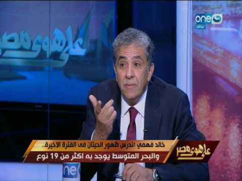 على هوى مصر | اللقاء الكامل لوزير البيئة خالد فهمي وحديثه عن تواجد حيتان وأسماك قرش بالسواحل المصرية