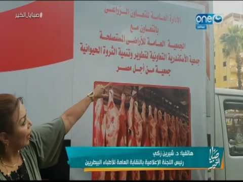 صبايا الخير | د.شيرين زكي تعلن عن كشفها لأكبر كمية لحوم فاسدة قبل العيد بأرقى الأحياء في القاهرة
