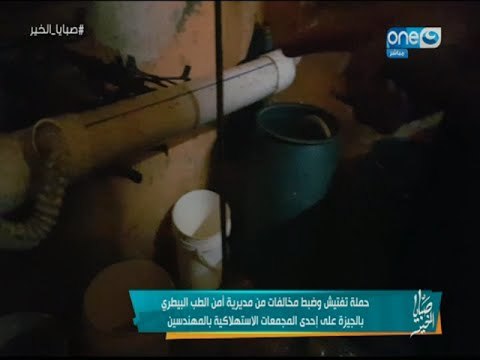 صبايا الخير | في أرقى أحياء القاهرة لحوم فاسدة مخزنة بالمجاري..!