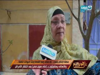 على هوى مصر - منطقة الأخلاص بالهرم .. حي سكني وسط القمامة وجثث الحيوانات النافقة