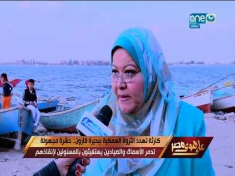 على هوى مصر - حشرة مجهولة تهدد الثروة السمكية ببحيرة قارون .. تدمر الأسماك