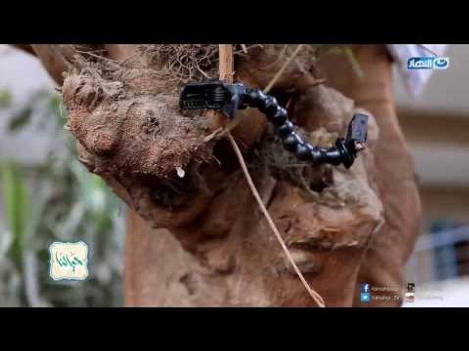 حياتنا - هتعمل ايه لو حطيت بنزين في عربيتك .. وفجأة فلوسك ضاعت ! 