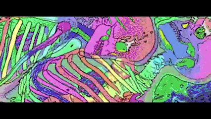 Shaolin Gang - Jus Like Dat (Official Video)