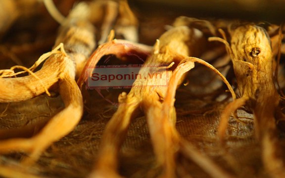 Quy trình sản xuất hồng sâm Hàn Quốc - Các bước tạo thành hồng sâm khô nguyên củ đóng hộp sắt