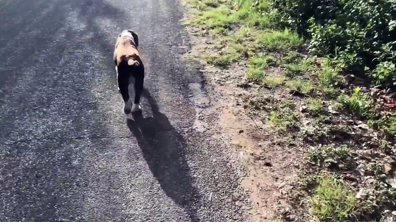 The Vacation Of A Lifetime