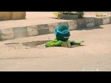 ريح المدام - اول ظهور لأهم رواد بلاعات الصرف الصحي  (سلاحف النينجا المصري)   