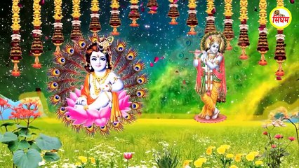 Original काले रंग पे मोरनी रुदन करे - Jyoti Nagar ❇⬛❇ My Fun look here