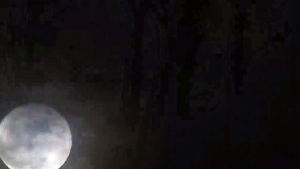 Antk Uzyllar - Tuhaf Yerler