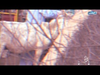 صبايا الخير | شخص مهووس جنسيا يغتصب الحيوانات حتي الموت ويتحرش بالكلاب في الشارع