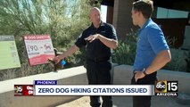 Zero citations issued since Phoenix rule banned dogs from hiking in extreme heat