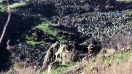 Ağrı ve K. Irak'ta toplam 10 terörist etkisiz hale getirildi