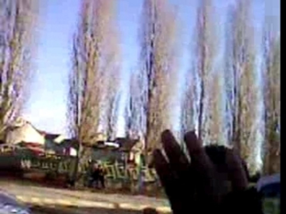 " REGARDE MOI CETTE CLOCHARDE "