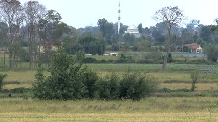 Bu Bitkiye Dokunan Yandı... Kopartılmasının Cezası 48 Bin Tl