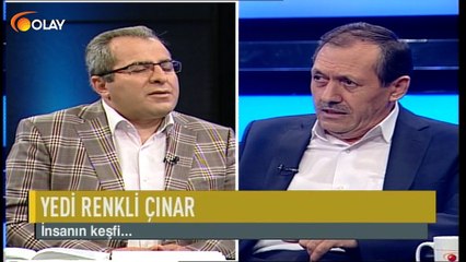 Yedi Renkli Çınar - 21-09-2018