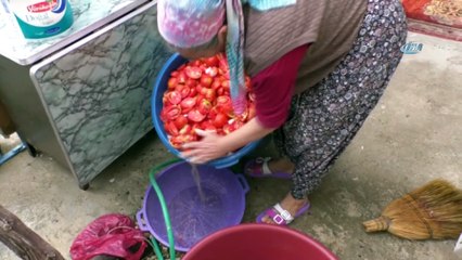 Yozgat’ta kışlık salça yapımı başladı