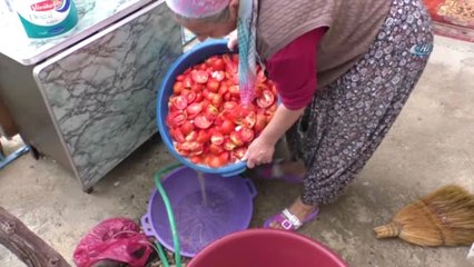 Yozgat'ta Kışlık Salça Yapımı Başladı