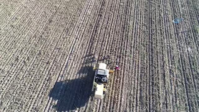 Çin Tehdidi Çekirdek Üreticisini Tedirgin Ediyor