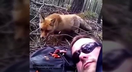 Tony Baker Comedy Compilations 68 #fav