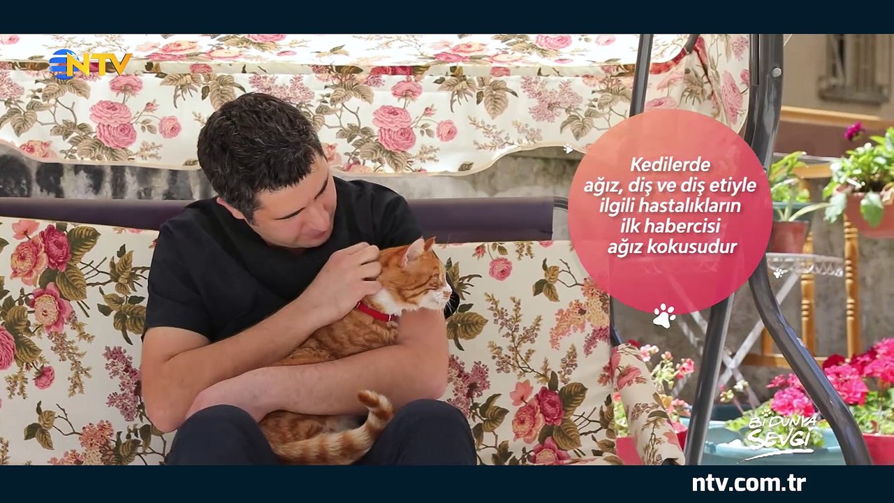 Bi Dünya Sevgi 22 Eylül 2018