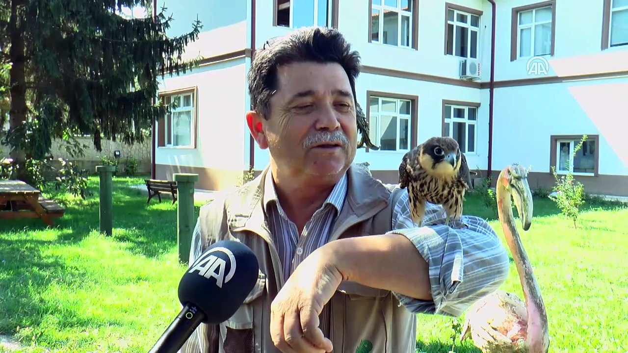 Doğan 'Şakir' ile teknisyen Ayhan'ın sıra dışı dostluğu- DÜZCE